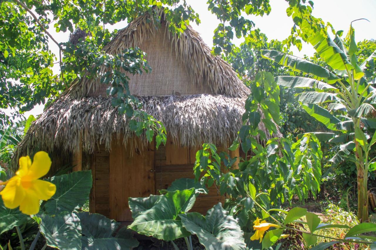 Samana Ecolodge El Limon Exterior foto